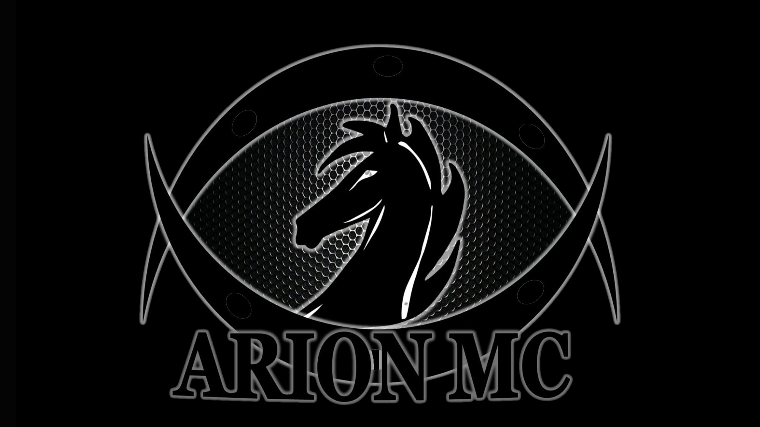 logo arion